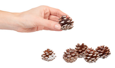 Hand with fir cones, decorations for holidays.