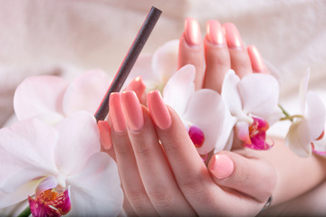 Female hands with gently pink nails polish spring color holding white orchids flower in beauty...