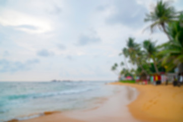 Beach, palm trees, sand, blue sky - a place for holidays and recreation. Soft focus background for lettering.