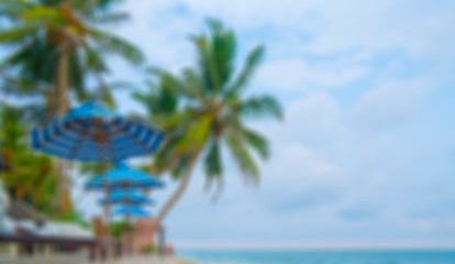 Fototapeta na wymiar Beach, palm trees, sand, blue sky - a place for holidays and recreation. Soft focus background for lettering.