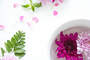 The ceramic pot with flower and green ,the aromatic background