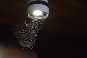 Cobweb on a lantern at night.