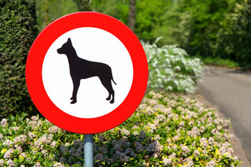Dutch traffic sign forbidden for dogs