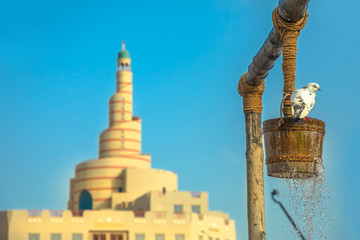 Pigeon drinks water at old well fountain, iconic landmark in the middle of Souq Waqif in Doha city center, Qatar. Middle East, Arabian Peninsula. Sunny blue sky. Doha Mosque on blurred background.