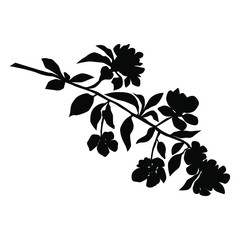Vector silhouette of the branches of Apple or cherry trees with flowers, black color, isolated on white background