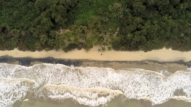 Caribbean scene in Palomino Colombia