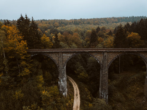 altes Viadukt im Wald