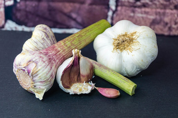 Knoblauch - Allium Sativum