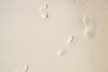 Fototapeta na wymiar Footprints in the wet white sand