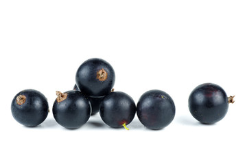 Black currant berries isolated on white background