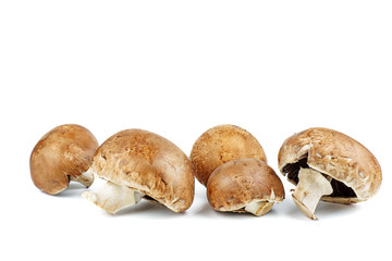 Portobello mushrooms isolated on the white background.