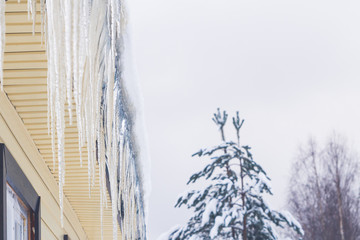 Naklejka na ściany i meble Icicles hang from the roof of a private house in winter