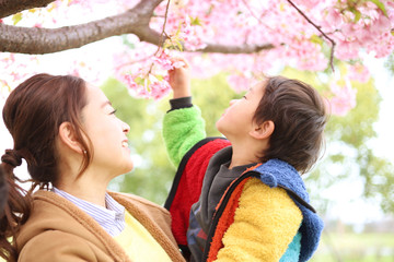 笑顔の30代母親と1人の子供の家族と春の満開の桜の背景