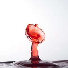 Wasser, Wassertropfen, Wassertropfenkollision, Tropfenkollision, Wasserspritzer, Rot, Flüssigkeit