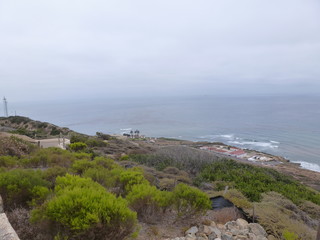 Point Loma