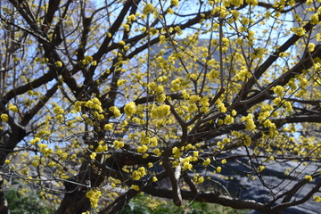Skyscrapers of Manhattan. Manhattan is often described as the cultural, financial, media, and entertainment capital of the world.