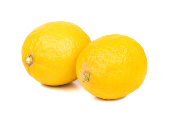 Two lemon fruits