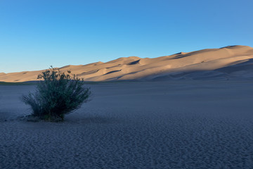 sunrise at Great Sand Dunes National Park and Preserve (Saguache county, Colorado, USA)
