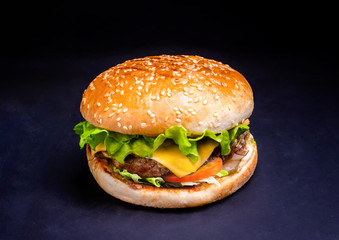 Big appetizing burger on dark background