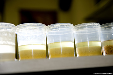 liquids in the analysis laboratory