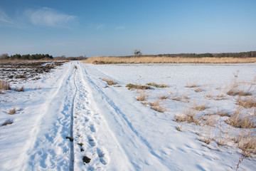 Fototapeta na wymiar Traces on a snowy dirt road. Horizon and blue sky