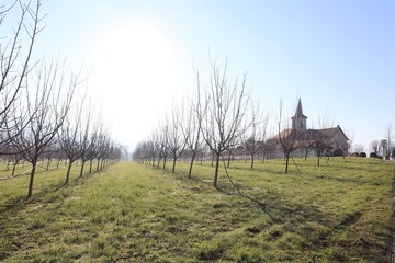 VILLAGE DE BELMONT TRAMONET - SAVOIE - FRANCE
