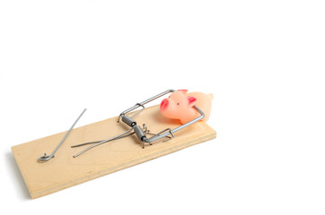 Small, pink, rubber pig got caught in a mousetrap.