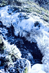 Fototapeta na wymiar .Winter creek in the black forest germany
