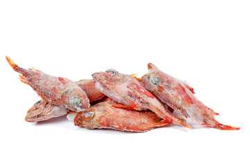 Deep frozen raw red perch fishes