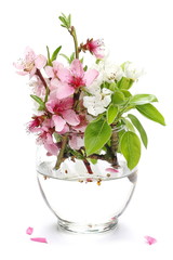 Obraz na płótnie Canvas Spring flowers blooming in glass vase isolated on white, pears, apples and peach with clipping path 