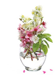 Spring flowers blooming in glass vase isolated on white, pears, apples and peach with clipping path 