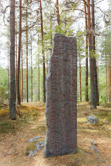 Runestone with inscriptions of futhark runes in red color in the pine woods in Roslagen, Sweden