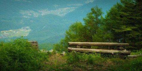 bench in the park