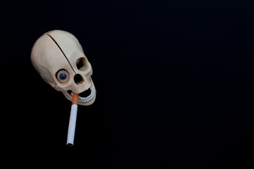 skull with cigarettes on black background