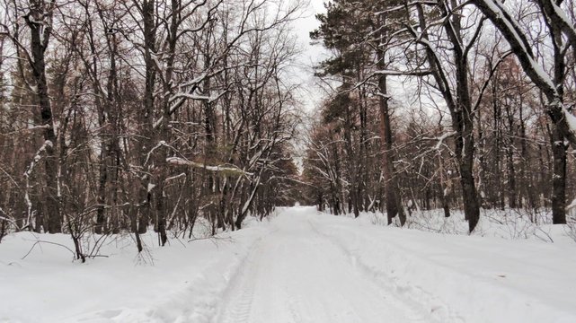 Winter landscapes zymes naparte