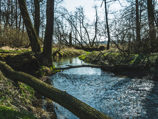 Spacer nad rzeką © ar2r.e