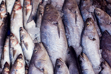A lot of different kind of fish in market