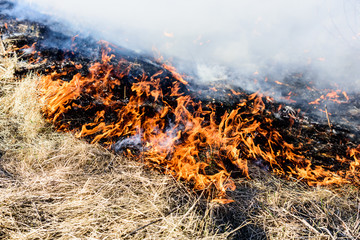 Burning grass field, which is a dangerous global warming. Smoke pollution.