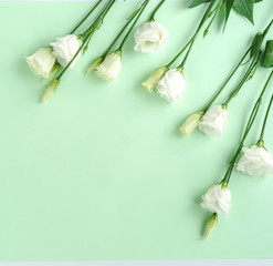 Flowers composition background. Spring white flowers Eustoma pattern on pale mint green background.Top view. Copy space