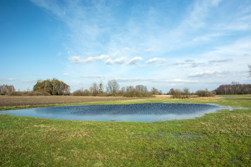 Water after rain on green meadow, clouds on blue sky