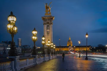 Photo sur Plexiglas Pont Alexandre III Paris, France - 03 17 2019 : Quais de Seine. Pont Alexandre III au coucher du soleil