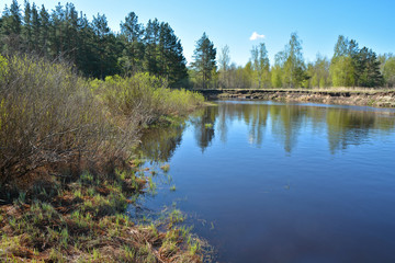 Obraz premium The beginning of may on a protected river.