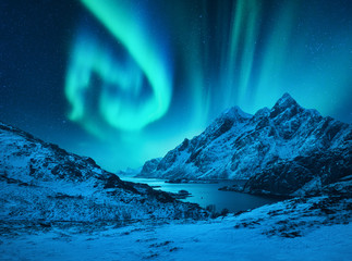 Aurora borealis above the snow covered mountains in Lofoten islands, Norway. Northern lights in winter. Night landscape with polar lights, snowy rocks, reflection in the sea. Starry sky with aurora