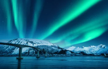 Fototapeten Brücke und Aurora Borealis über schneebedeckte Berge in der Nacht auf den Lofoten-Inseln, Norwegen. Erstaunliche Nordlichter und Reflexion im Wasser. Winterlandschaft mit Sternenhimmel, Polarlichtern, Straße, Meer. Platz © den-belitsky