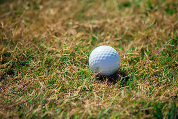 Golf club and ball on the green course. Close up. Sport, relax, recreation and leisure concept.