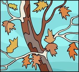 Sycamore tree in the fall, detail