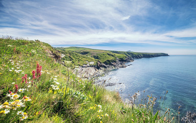 Abereiddi Bay at Bright Summer Day in Pembrokeshire