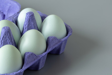 Eggs white in carton purple on a grey background