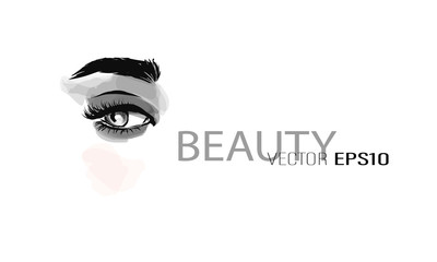 Painted female eye, eyelashes and eyebrow. Vector template. Beauty industry, make-up