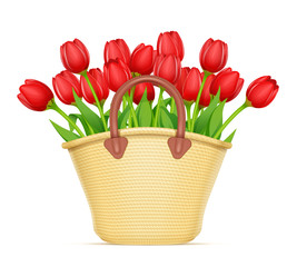 Wicker basket with tulip flower bouquet. Decoration for spring gift. Floristics composition. Isolated white background. Eps10 vector illustration.